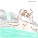  anthro breasts destruction21 eyelashes eyes_closed female fur hi_res hot_spring lagomorph leporid mammal multicolored_body multicolored_fur rabbit relaxing rock sega simple_background smile solo sonic_the_hedgehog_(series) steam vanilla_the_rabbit water waterfall white_background 