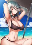  1girl beach bikini black_bikini black_swimsuit breasts cleavage highres j_yak47 klone_(j.roswel) large_breasts midriff navel original solo swimsuit wet 