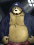  2017 3:4 anthro beard belly big_belly black_nose bottomwear clothed clothing facial_hair hi_res hoodie humanoid_hands kemono male mammal moobs mtflying30371 navel open_clothing open_hoodie open_topwear overweight overweight_male scar shorts solo tattoo topwear ursid 