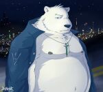  2016 anthro belly big_belly black_nose blue_eyes fur kemono male mammal moobs mtflying30371 night nipples outside overweight overweight_male polar_bear ursid ursine white_body white_fur 