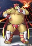  2017 anthro bandage bandaged_arm belly big_belly brown_body bulge clothing fighting_ring hi_res humanoid_hands jockstrap kemono male mammal mask moobs mtflying30371 nipples overweight overweight_male solo underwear ursid volcano wrestler 