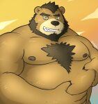  2018 anthro beard belly big_belly brown_body facial_hair hi_res humanoid_hands kemono male mammal moobs mtflying30371 nipples overweight overweight_male solo ursid yellow_eyes 