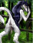  anus back from_behind fur furry looking_back multicolored_hair outside presenting pussy rain_(sergal) rain_silves sergal solo tail tree yellow_eyes 