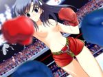  arena black_hair blush boxing boxing_gloves boxing_ring breasts nipples shorts sweatdrop 