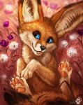  2022 5_fingers anthro black_hair black_nose breasts canid canine clothed clothing detailed_background digital_media_(artwork) eyebrows eyelashes female fennec fingers fox hair looking_at_viewer mammal p-v-s solo 