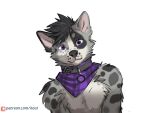  2022 4:3 anthro black_hair canid canine canis collar digital_media_(artwork) domestic_dog fur grey_body grey_fur hair koul looking_at_viewer male mammal purple_eyes solo text url 