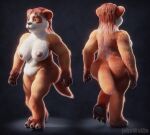  3_toes 4_fingers ailurid animated anthro areola big_breasts big_butt blizzard_entertainment breasts brown_body brown_fur brown_hair butt feet female fingers fur genitals hair jiggle_physics jiggling johnwulffe long_hair mammal multicolored_body multicolored_fur nipples nude overweight overweight_anthro overweight_female pandaren pussy red_hairband red_panda solo thick_thighs toes tuft two_tone_body two_tone_fur ursid video_games walk_cycle walking warcraft wide_hips yellow_eyes 