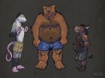  2018 anthro asinus barry_the_pizza_bear belly big_belly black_nose bottomwear brown_body brown_fur clothing didelphid donkey equid equine fur grey_body grey_fur group hi_res humanoid_hands k-9 male mammal marsupial moobs nipples overweight overweight_male pink_nose shorts simple_background ursid 