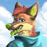  1:1 absurd_res anthro blue_clothing blue_eyes blue_topwear brown_body brown_ears brown_fur canid cheek_tuft clothing cloud eyebrows facial_tuft fangs fur glistening glistening_eyes glistening_nose green_inner_ear_fluff green_nose green_tongue hair headshot_portrait hi_res inner_ear_fluff male mammal neck_tuft open_mouth open_smile portrait red_eyebrows red_hair short_hair signature smile solo tan_body tan_fur tan_inner_ear tongue tongue_out topwear tuft yookie 