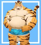  2022 anthro belly big_belly blush bulge clothing felid hi_res humanoid_hands kemono male mammal musclegut overweight overweight_male pantherine pink_nose shillon0610 simple_background solo tiger underwear 