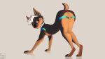  16:9 anthro anus balls biped canid canine collar furvie genitals hi_res looking_back male mammal solo widescreen 