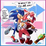  amy_rose blush body_swap butt butt_grab clothing device duo embarrassed eulipotyphlan female hand_on_butt hedgehog hi_res lewdloaf male male/female mammal panties panty_shot sega sonic_the_hedgehog sonic_the_hedgehog_(series) surprise underwear 