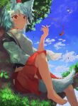  2girls animal_ears bangs barefoot black_skirt cigarette cloud commentary_request day eyebrows_visible_through_hair hat highres holding holding_cigarette in_tree inubashiri_momiji japanese_clothes multiple_girls outdoors parted_lips red_eyes red_skirt shameimaru_aya sitting sitting_in_tree skirt sky smoking tail taking_picture tokin_hat touhou tree white_hair wide_sleeves wolf_ears wolf_tail yamabuki_(laysis_yama) 