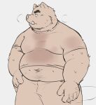  2022 anthro belly big_belly bodily_fluids bottomwear clothing hi_res humanoid_hands kemono male mammal navel overweight overweight_male pants shirt simple_background solo suid suina sus_(pig) sweat topwear whitebeast20 wild_boar 