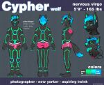  2015 anthro arcticorange biped bulge clothed clothing cypher_(diaperedglowwolf) digital_drawing_(artwork) digital_media_(artwork) dipstick_tail english_text fur hair hoodie male markings model_sheet simple_background solo standing tail_markings text topwear 