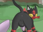  2016 anatomically_correct anus backsack balls big_balls bodily_fluids butt butt_focus duo erection feral forest genital_fluids genitals hi_res imminent_sex litten looking_back male male/male nintendo outside pawn penile_spines penis plant pok&eacute;mon pok&eacute;mon_(species) precum presenting presenting_hindquarters solo_focus surprised_expression tree video_games wide_eyed yellow_sclera 