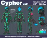  2017 anthro arcticorange biped clothed clothing cypher_(diaperedglowwolf) digital_drawing_(artwork) digital_media_(artwork) dipstick_tail english_text fur genitals hair hoodie male markings model_sheet penis simple_background solo standing tail_markings text topwear 