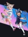  2girls animal_ears ball beleven blonde_hair blue_dress blush brown_eyes collared_dress commentary_request common_raccoon_(kemono_friends) dress extra_ears eyebrows_visible_through_hair fennec_(kemono_friends) fox_ears fox_girl fox_tail grey_hair highres kemono_friends kemono_friends_3 midriff multicolored_hair multiple_girls navel open_mouth paw_print_soles pleated_dress pleated_skirt raccoon_ears raccoon_girl raccoon_tail racket shirt shoes short_hair short_sleeves skirt sneakers socks sportswear sweatdrop tail tennis_ball tennis_racket tennis_skirt tennis_uniform thighhighs white_hair white_legwear white_shirt white_skirt wristband zettai_ryouiki 