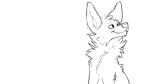  16:9 animated anthro black_and_white canid cheek_tuft chest_tuft duo facial_tuft feral inner_ear_fluff lemur male mammal monochrome neck_tuft open_mouth open_smile primate raised_leg shocked short_playtime shoulder_tuft smile strepsirrhine tuft widescreen yookie 