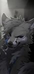  2022 ambiguous_gender angiewolf black_nose canid canine digital_media_(artwork) feral fox fur grey_body grey_fur hair hi_res looking_at_viewer mammal open_mouth purple_eyes smile solo teeth tongue 