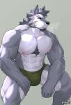  abs anthro areola bodily_fluids bulge canid canine canis clothed clothing fur green_clothing green_eyes green_underwear grey_body grey_fur hi_res kamyuelo male mammal muscular muscular_anthro muscular_male nipples pecs pink_nipples simple_background solo sweat topless underwear underwear_only 