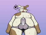  &lt;3 alekoin anthro balls bodily_fluids brown_markings brown_spots bulge bulldog canid canine canis chubby_male clothed clothing cum cum_in_clothing cum_in_underwear cum_in_water cum_through_clothing cum_through_underwear cum_underwater domestic_dog erection erection_under_bottomwear erection_under_clothing fur genital_fluids genitals looking_at_viewer looking_down low-angle_view male mammal markings mastiff molosser nipples overweight overweight_male penis shaded slightly_chubby solo spots spotted_body spotted_fur spotted_markings sweat sweatdrop sweaty_balls sweaty_genitalia sweaty_legs sweaty_penis sweaty_thighs tongue tongue_out toony underwear wet wet_clothing wet_underwear whiskers white_body white_fur white_skin worm&#039;s-eye_view 