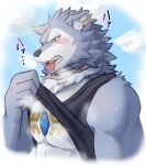 abs anthro black_clothing blush bodily_fluids breke canid canine canis clothing fur grey_body grey_fur hi_res kouga0225 lifewonders male mammal muscular muscular_anthro muscular_male pecs shirt solo sweat tank_top tokyo_afterschool_summoners topwear video_games wolf 