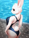  2022 absurd_res anthro beastars blush breasts butt clothed clothing digital_drawing_(artwork) digital_media_(artwork) domestic_rabbit dwarf_rabbit exposed female haru_(beastars) hi_res lagomorph leporid looking_at_viewer looking_back mammal mykegreywolf one-piece_swimsuit oryctolagus pinup poolside pose rabbit rear_view size_difference skimpy small_breasts solo swimming_pool swimwear tail_tuft tuft 