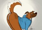  2022 a_dusty_wolf anthro anus blue_clothing blue_hoodie blue_topwear bottomless brown_body brown_fur butt canid canine canis clothed clothing digital_drawing_(artwork) digital_media_(artwork) domestic_dog dusty_(dustwolf) eyebrows eyelashes female floppy_ears fur genitals hoodie looking_aside mammal presenting presenting_anus presenting_hindquarters presenting_pussy pussy raised_tail signature simple_background solo topwear white_background 