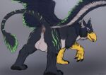  2022 anus avian balls beak butt dradmon feathered_wings feathers feral fur genitals gryphon hi_res looking_at_viewer looking_back male mythological_avian mythology nude presenting presenting_hindquarters raised_tail solo toumak_(character) wings 