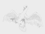  absurd_res adamb/t2oa anatid animal_genitalia anseriform anserinae avian beak bird cloaca feathered_wings feathers female feral genitals goose hi_res membrane_(anatomy) monochrome nude signature simple_background sketch solo tail_feathers webbed_feet wings 