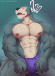  5_fingers absurd_res anthro beastars bulge canid canine canis clothing fingers first_person_view fur hi_res kento267 legoshi_(beastars) looking_at_viewer male male/male mammal multicolored_body multicolored_fur muscular muscular_anthro muscular_male nipples solo speedo swimwear two_tone_body two_tone_fur underwear wolf 
