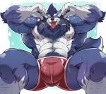  2021 anthro arm_hair armpit_hair beard big_bulge big_muscles black_claws black_nose blue_body blue_fur blue_hair bodily_fluids body_hair briefs bulge canid canine canis claws clothed clothing crouching elbow_tuft facial_hair fur hair happy_trail hi_res huge_muscles humanoid_hands leg_hair looking_at_viewer low-angle_view male mammal merphilox_bigwolf muscular muscular_anthro muscular_male nipples nobu_baka pink_nipples pink_tongue red_eyes solo sweat tongue tongue_out topless underwear underwear_only wolf 