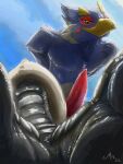  avian bird breath_of_the_wild feet genitals hi_res low-angle_view magpi male nintendo penis revali rito tapering_penis the_legend_of_zelda video_games worm&#039;s-eye_view 