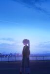  1girl black_ribbon commentary_request crane_(machine) fence hair_ribbon hands_in_pocket harbor highres looking_at_viewer ocean original outdoors ponytail ribbon scenery solo water yuhack 