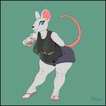  anthro beverage biped black_nose bottomwear breasts clothing female flip_flops footwear greasymojo hi_res mammal mouse murid murine raised_tail rodent sandals shirt shorts simple_background solo topwear 