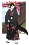  absurd_res anthro asian_clothing canid canine canis cherry_blossom cherry_blossom_tree cherry_tree clothing danywolf east_asian_clothing fruit_tree hi_res japanese_clothing kimono male mammal plant solo srpeachy tree wolf 