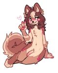  anthro bag_of_lewds blush blush_lines brown_body brown_fur brown_hair brown_tail canid canine canis domestic_dog fur genitals gesture hair humanoid_genitalia humanoid_penis male mammal markings multicolored_body multicolored_fur pawpads paws penis pink_body pink_eyes pink_fur smile solo tan_body tan_fur two_tone_body two_tone_fur two_tone_tail v_sign white_tail 