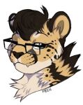  anthro belly biped black_hair black_nose blue_eyes cheetah claws digitigrade eyewear fangs felid feline fur glasses hair king_cheetah kofi_(kofithechee) male mammal pawpads slightly_chubby spots spotted_body spotted_fur stripes thick_thighs 