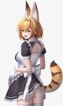  1girl :d animal_ear_fluff animal_ears apron apron_lift ass back_cutout bangs blonde_hair breasts clothing_cutout commentary cowboy_shot deku_suke ear_piercing english_commentary extra_ears fangs frills from_behind gloves hair_between_eyes highres kemono_friends lifted_by_self looking_at_viewer looking_back maid maid_headdress medium_breasts official_alternate_costume open_mouth panties piercing puffy_short_sleeves puffy_sleeves serval_(kemono_friends) short_hair short_sleeves simple_background smile solo tail thighhighs tongue tongue_out underwear waist_apron white_background white_gloves white_legwear white_panties yellow_eyes 