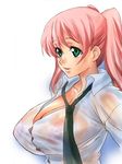  artist_request breasts candy_cane_(rumble_roses) cleavage dodai_shouji gradient gradient_background green_eyes huge_breasts nipples pink_hair see-through smile twintails wet 