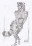  ailurid anthro barely_visible_genitalia barely_visible_pussy breasts female genitals hi_res mammal n2o nude pussy red_panda solo 