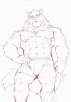  abs absurd_res anthro canid canine canis clothing domestic_dog heylaw21 hi_res husky lifewonders live-a-hero looking_at_viewer looking_down male mammal monomasa muscular muscular_anthro muscular_male navel neck_tuft nipples nordic_sled_dog pecs sketch solo spitz tuft underwear video_games 