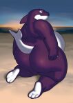  anthro beach big_butt butt chubby-shark chubby_male fish male marine overweight overweight_male purple_body purple_skin seaside shark 