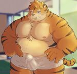  2022 anthro balls_outline belly big_belly blush bulge clothed clothing erection erection_under_clothing felid genital_outline hi_res humanoid_hands kemono male mammal moobs navel nipples one_eye_closed overweight overweight_male pantherine penis_outline sakisukem solo tiger wink 