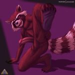  anthro balls brown_body brown_fur butt claws digital_media_(artwork) erection feet foot_fetish foot_focus fur genitals guardians_of_the_galaxy looking_at_viewer male mammal marvel nude penis presenting presenting_hindquarters prismanoodle_(artist) procyonid raccoon rocket_raccoon simple_background smile solo spread_butt spreading 