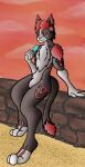  anthro atom atomthecat male solo sunset 