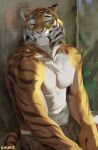  2022 anthro chunie clothing detailed_background digital_media_(artwork) felid hi_res male mammal nipples pantherine shirtless smile smiling_at_viewer solo tiger 