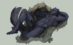  2022 anthro balls biped black_penis blaidd_(elden_ring) canid canine canis cloak clothing digital_media_(artwork) elden_ring erection fangs foreskin fromsoftware fur genitals grey_body grey_fur humanoid_genitalia humanoid_penis looking_at_viewer lying male mammal on_back penis plantigrade purple_eyes simple_background solo twistedteeth video_games whiskers white_background wolf 