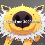  3_toes ambiguous_gender black_eyes boke_(artist) brown_nose canine_nose close-up currency currency_amount dot_eyes eeveelution english_text feet feral fur grey_background humor jolteon neck_tuft nintendo nostrills pok&eacute;mon pok&eacute;mon_(species) simple_background small_eyes solo spiky_fur text toes tuft video_games white_body white_fur yellow_body yellow_fur 